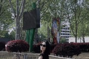 《我的侠客》游戏玫瑰获取攻略（游戏中如何获得玫瑰，提升角色实力）