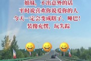 哑巴聋子游戏攻略大揭秘（突破极限，感受无声世界的游戏体验）