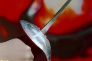 《探秘伊甸园之子游戏攻略》（深入解析游戏要素，带你一探伊甸园之谜）