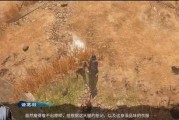 《天命奇御2》十关拳道场过法技巧（掌握关键技能，轻松应对拳道场挑战）