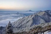 返老还童出装攻略-重拾青春活力的秘密武器（拒绝老去，重焕青春，打造返老还童神奇装备）