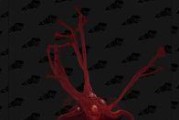 魔兽世界小鹿攻略（掌握关键技能加点，成为最强小鹿！）