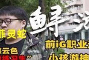 《狂暴狸猫技能加点攻略》（为你的狂暴狸猫选择最佳技能组合）