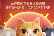 《天猫》游戏双十一超级星秀猫瓜分20亿活动（玩法、奖励、时间、规则、流程、参与方式、注意事项、策略）