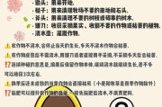 小动物旅馆小游戏攻略（为你的小动物营建一个温馨、舒适的家园！）