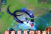 张飞孙尚香最后出装攻略（提升输出无压力，全方位协作必备装备）