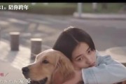 宠爱女友游戏攻略（打造甜蜜爱情，成为真正的男友！）