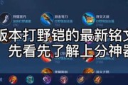 掌握铠的出装铭文和玩法攻略（打造无敌铠——关键出装、铭文技巧和玩法心得）