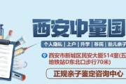探秘12摩天楼（攻略大师教你如何游刃有余闯荡摩天楼）