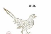 老鼠神话版本出装攻略（揭秘老鼠的最佳装备选择，助你在战场上无往不胜！）