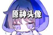《战无极，终成洪流——原神散兵攻略洪无极》（探寻洪无极的技能与应用，打造强力散兵）