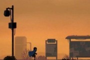 《勇敢的哈克》游戏猫粮获取攻略（如何通过游戏获得更多猫粮？）
