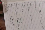 《以高能手办团悬挂的影子》通关攻略（如何过关悬挂的影子？高效攻略分享！）