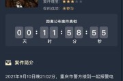 瓦希诺德维寺坠崖案（以游戏为主的真实犯罪案件解密）