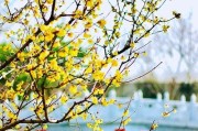 征服凌霜圣地，成为无敌人马！（攻略和出装建议，让你在凌霜圣地中无所畏惧）