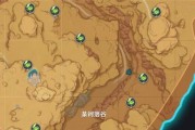草神瞳共鸣石位置大全，轻松合成草神瞳（草神瞳共鸣石位置大全，轻松合成草神瞳）
