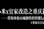 《米家日记游戏攻略大全》（轻松掌握游戏技巧，畅享游戏乐趣）