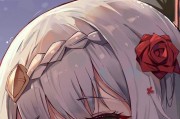 《征服原神世界的勇者——诺埃尔攻略》（探索技巧、装备选择与能力解析，助你成为无敌的骑士）
