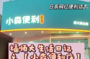 《小森生活》游戏攻略（从任务接取到完成，掌握关键技巧）