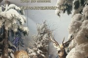 揭开神秘世界的面纱（探索隐藏在幕后的秘密，揭示神秘世界的真相）