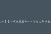 《勇者旋风战魂卡技能搭配大揭秘》（揭示最强战斗技能组合，让你稳坐魔幻大陆之巅！）
