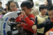 《细胞实验室游戏攻略大全》（打造最强细胞实验室，征服科学世界！）