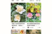 精灵树卫出装最新攻略，打造无敌护佑（掌握核心装备“圣物”）