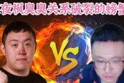 《熊猫拳皇技能加点攻略》（掌握熊猫的技能加点，畅玩拳皇大战）