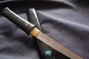 深入探索（揭开女武士的弱点，展示您的胜利之道）