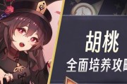 胡桃攻略